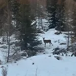 Pod Gerlachovskym Stitom * Wysokie Tatry