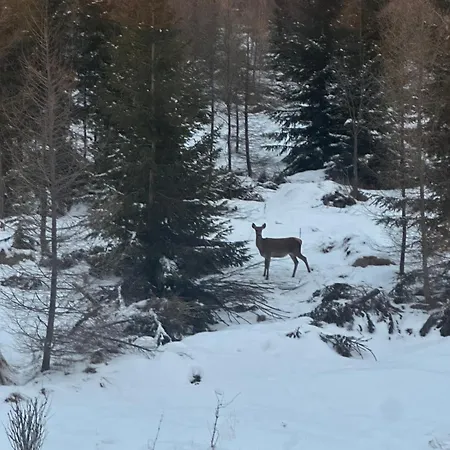 Pod Gerlachovskym Stitom * Vysoké Tatry