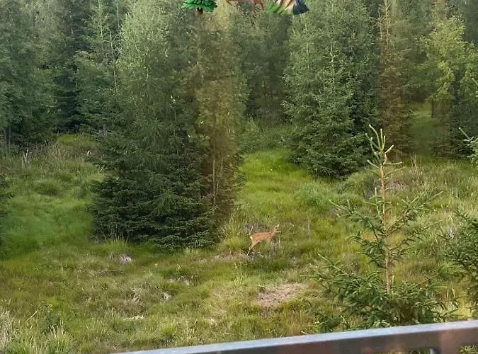 Lägenhet Pod Gerlachovskym Stitom