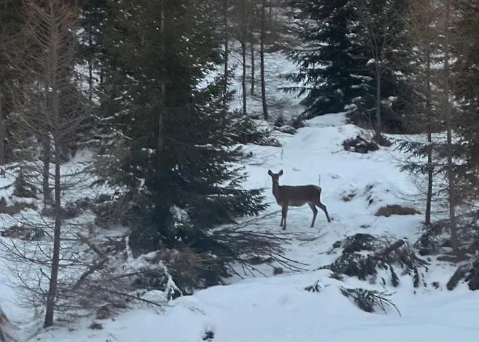 Pod Gerlachovskym Stitom * Vysoké Tatry
